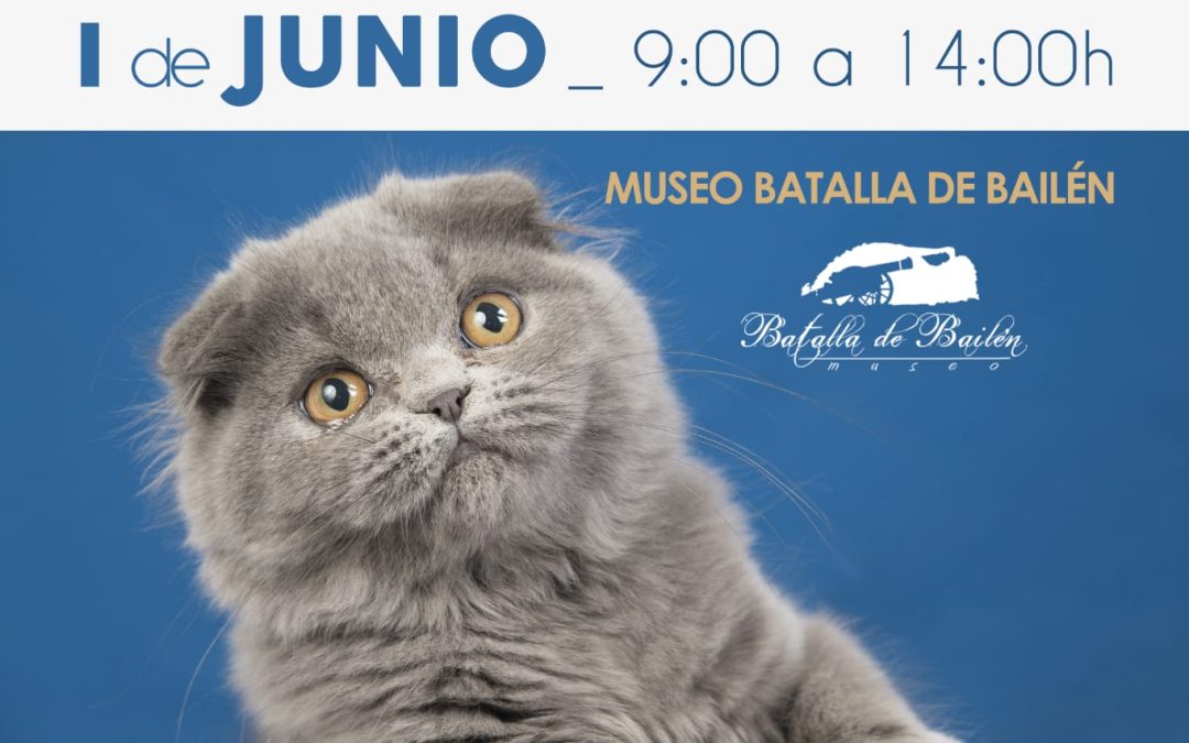 Bailén acoge las I Jornadas de Bienestar Animal