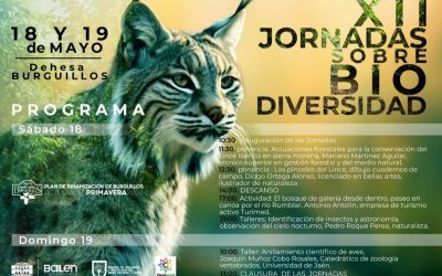 XII Jornadas sobre Biodiversidad en Burguillos