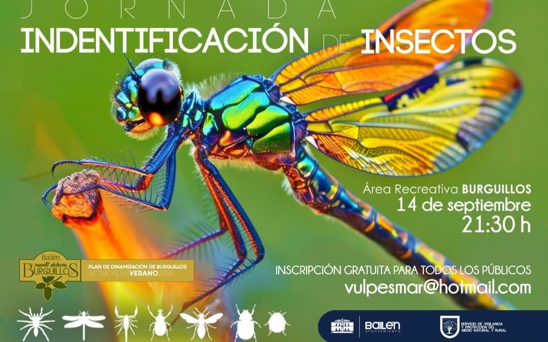 Jornadas de Identificación de Insectos