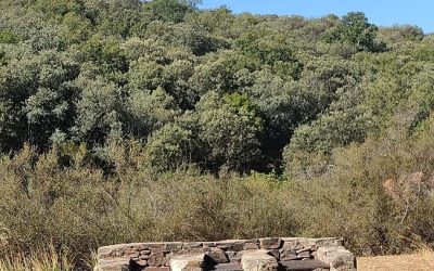 Se permite hacer fuego para la preparación de alimentos en el Parque Público ‘Dehesa de Burguillos’