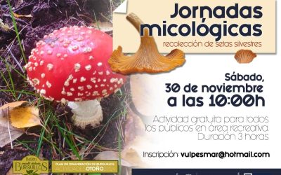 La Concejalía de Medio Ambiente organiza unas Jornadas Micológicas y de recolección de setas silvestres