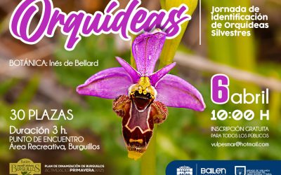 Organizada una jornada de identificación de orquídeas silvestres en Burguillos