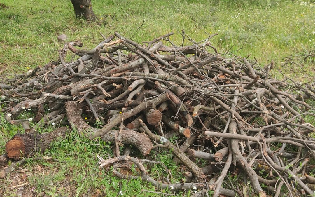 Los bailenenses podrán solicitar de forma gratuita la leña derivada de los trabajos forestales en Burguillos