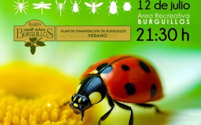 Burguillos acogerá una Jornada de Identificación de Insectos
