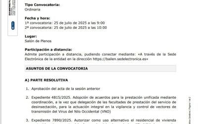 Convocatoria de Pleno