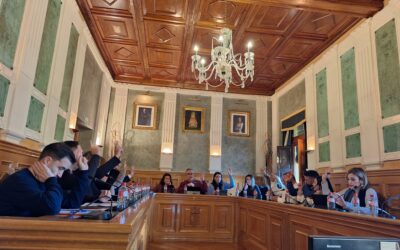 Unanimidad en la aprobación inicial de la Ordenanza Municipal Reguladora de Vehículos de Movilidad Personal