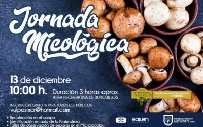 La Concejalía de Medio Ambiente organiza una Jornada Micológica