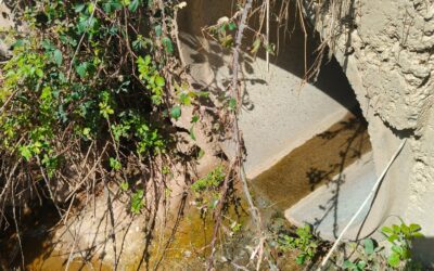 Comienzan las obras de mejora del drenaje transversal del arroyo de los Olmos, en el camino de Casa Pajares