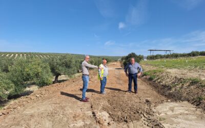 El Ayuntamiento de Bailén moviliza recursos propios para recuperar los caminos rurales tras las lluvias