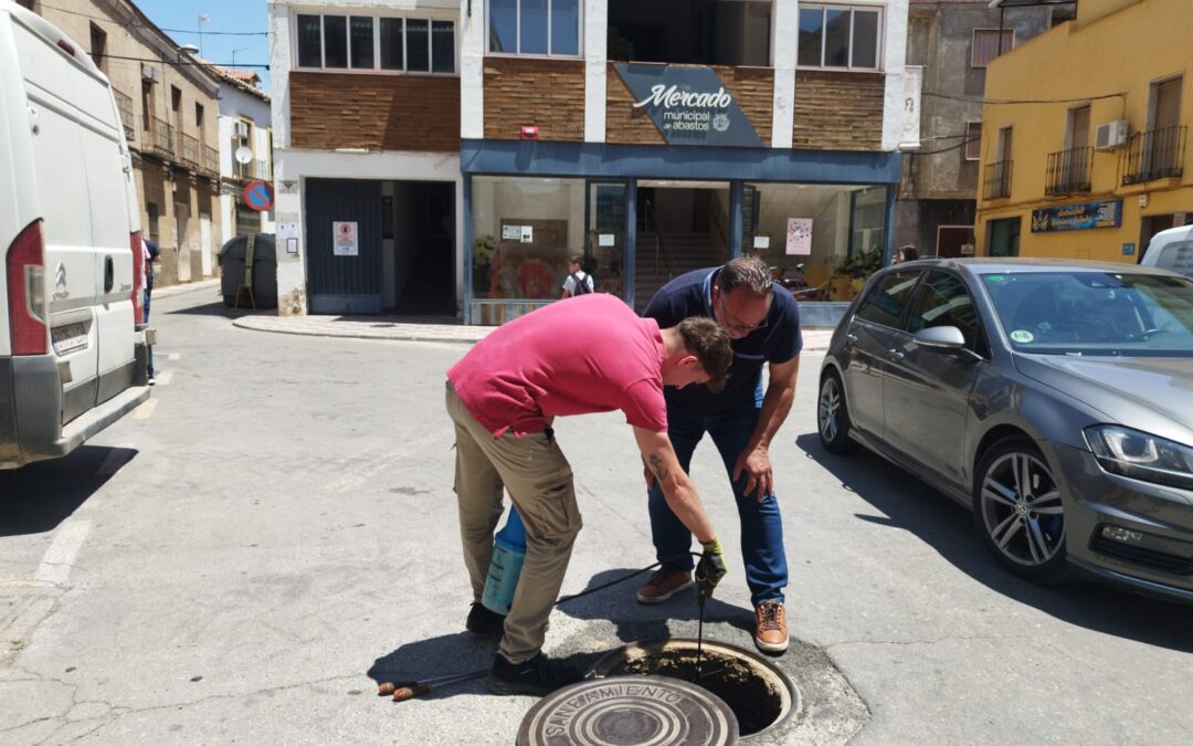 El Ayuntamiento de Bailén intensifica la campaña de desratización y desinsectación de todo el municipio
