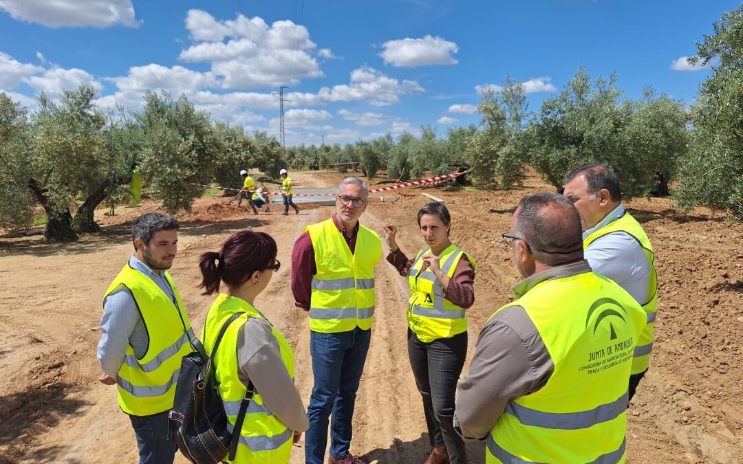 La delegada de Agricultura visita las obras del camino rural ‘Camino Viejo’ de Bailén